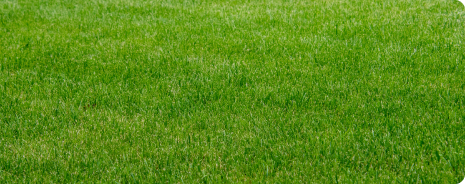Turf Care Shop
