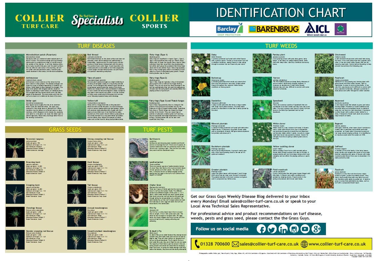 Identification Wall Chart
