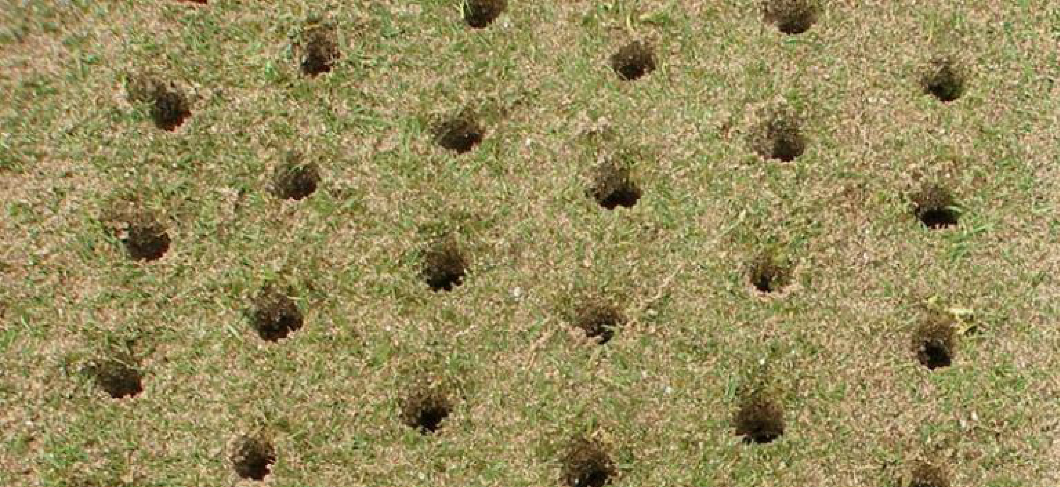 Aeration