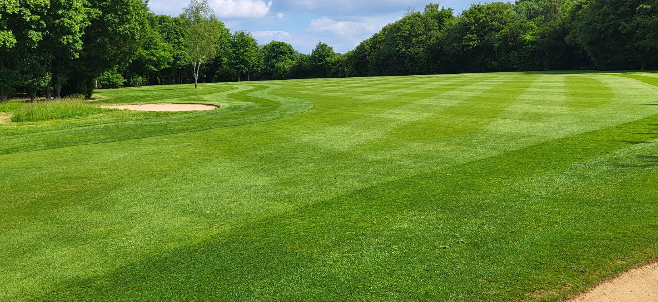 Fairway - Preparation, Overseeding and Aftercare