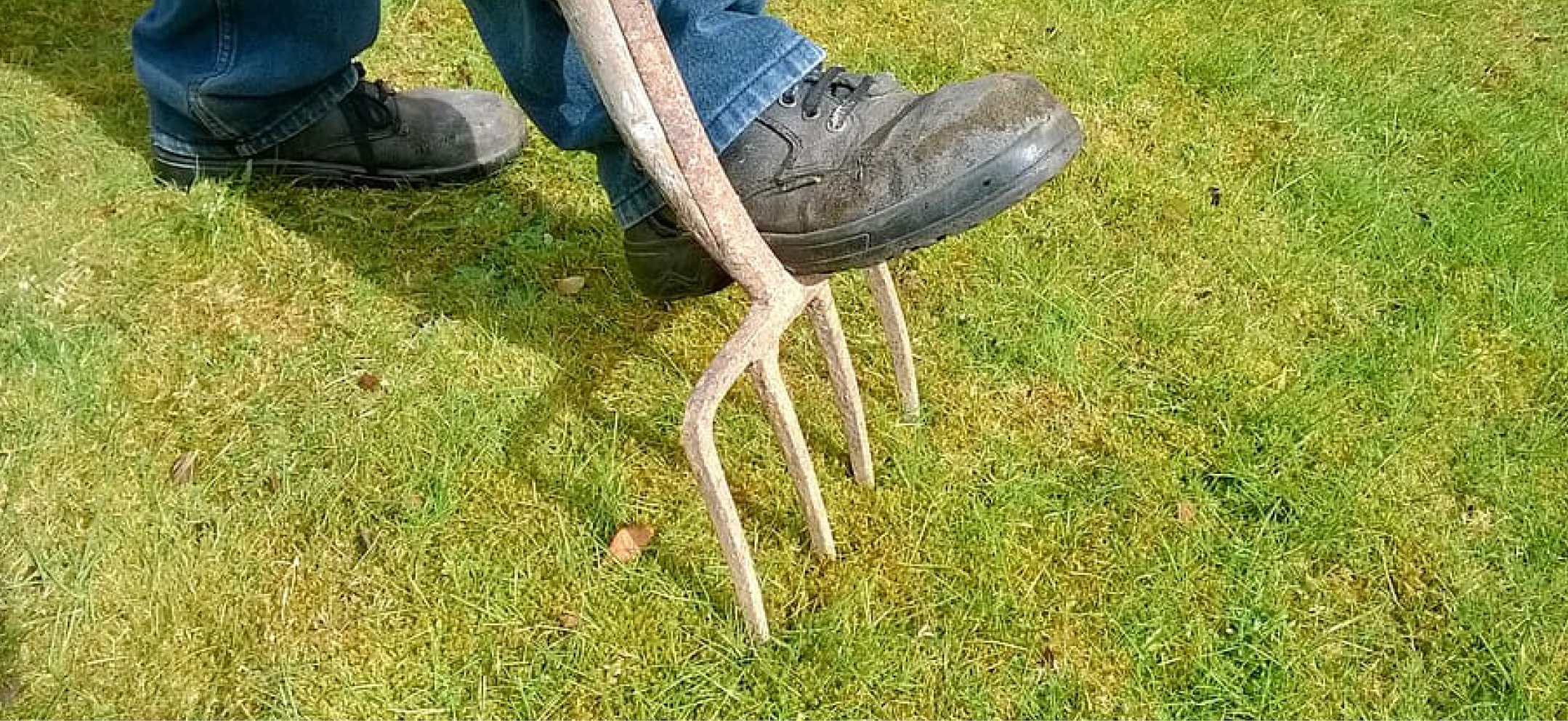Domestic Aeration