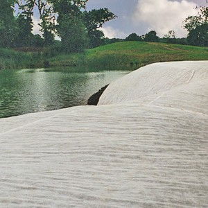 Economy Germination Sheet