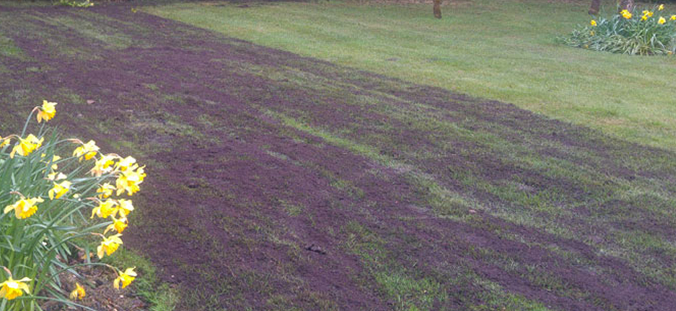 Top Dressing