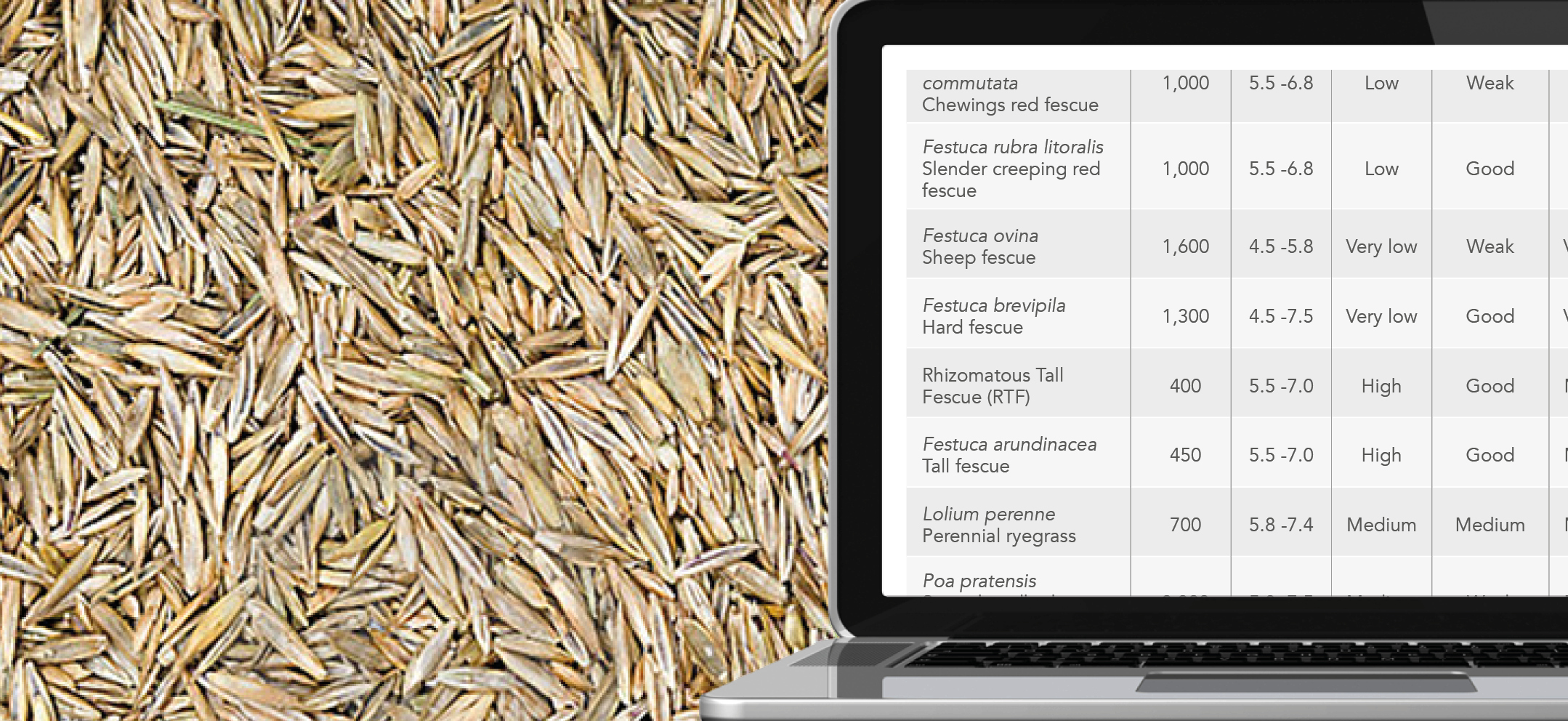 Sowing and Seed Rates and Characteristics