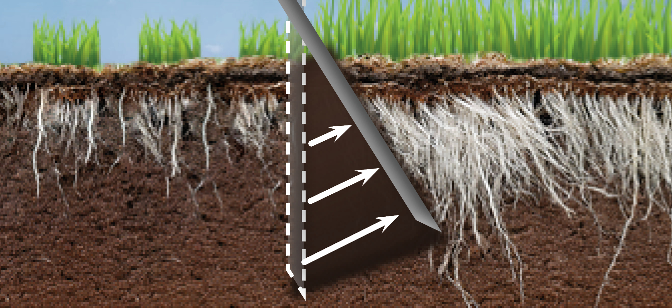 Fine Turf Aeration