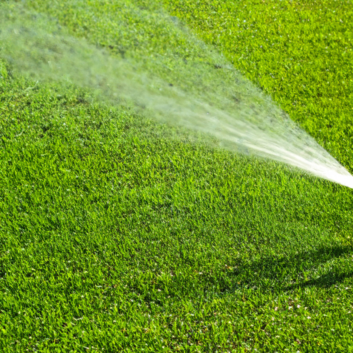 Garden Irrigation