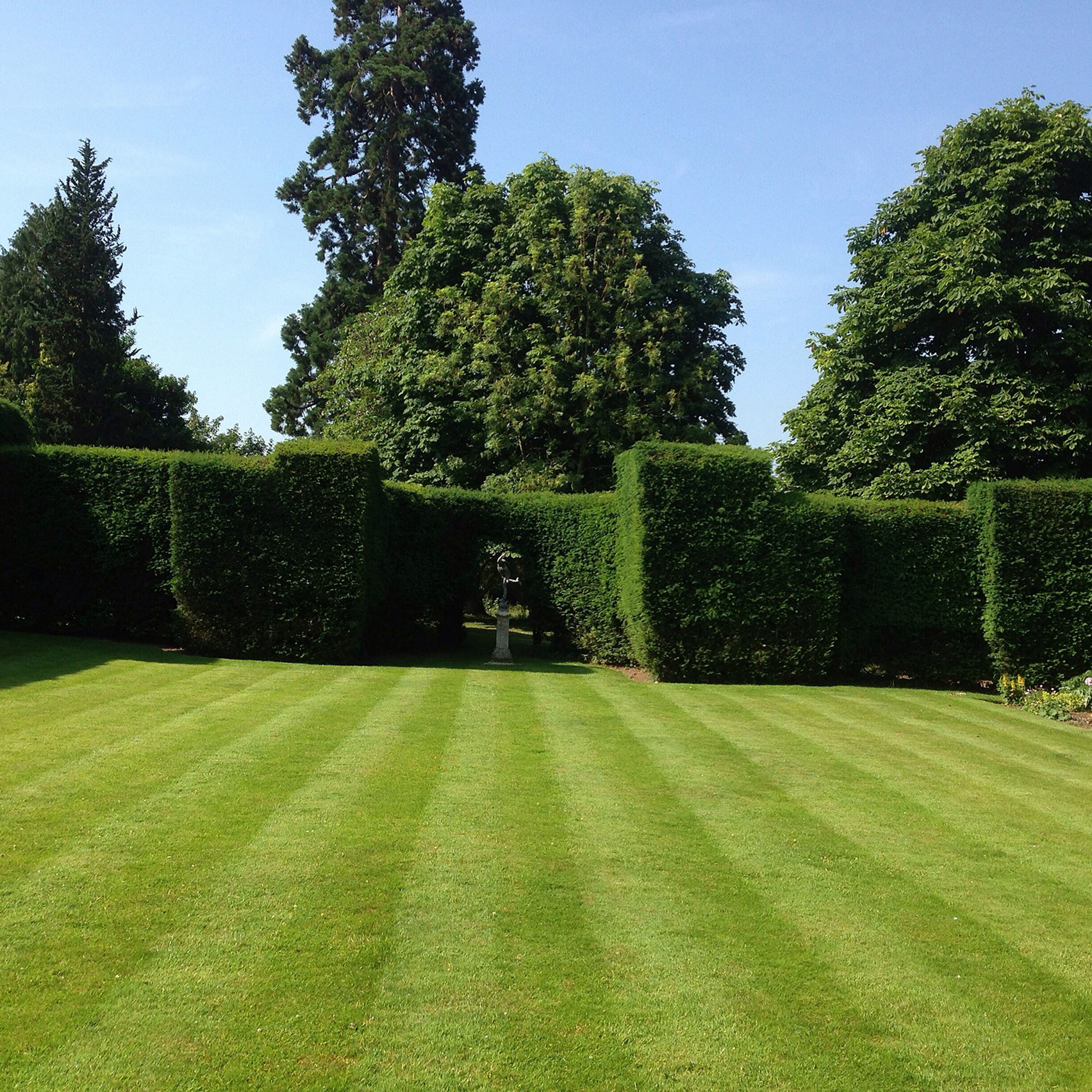 Granular Lawn Fertilisers