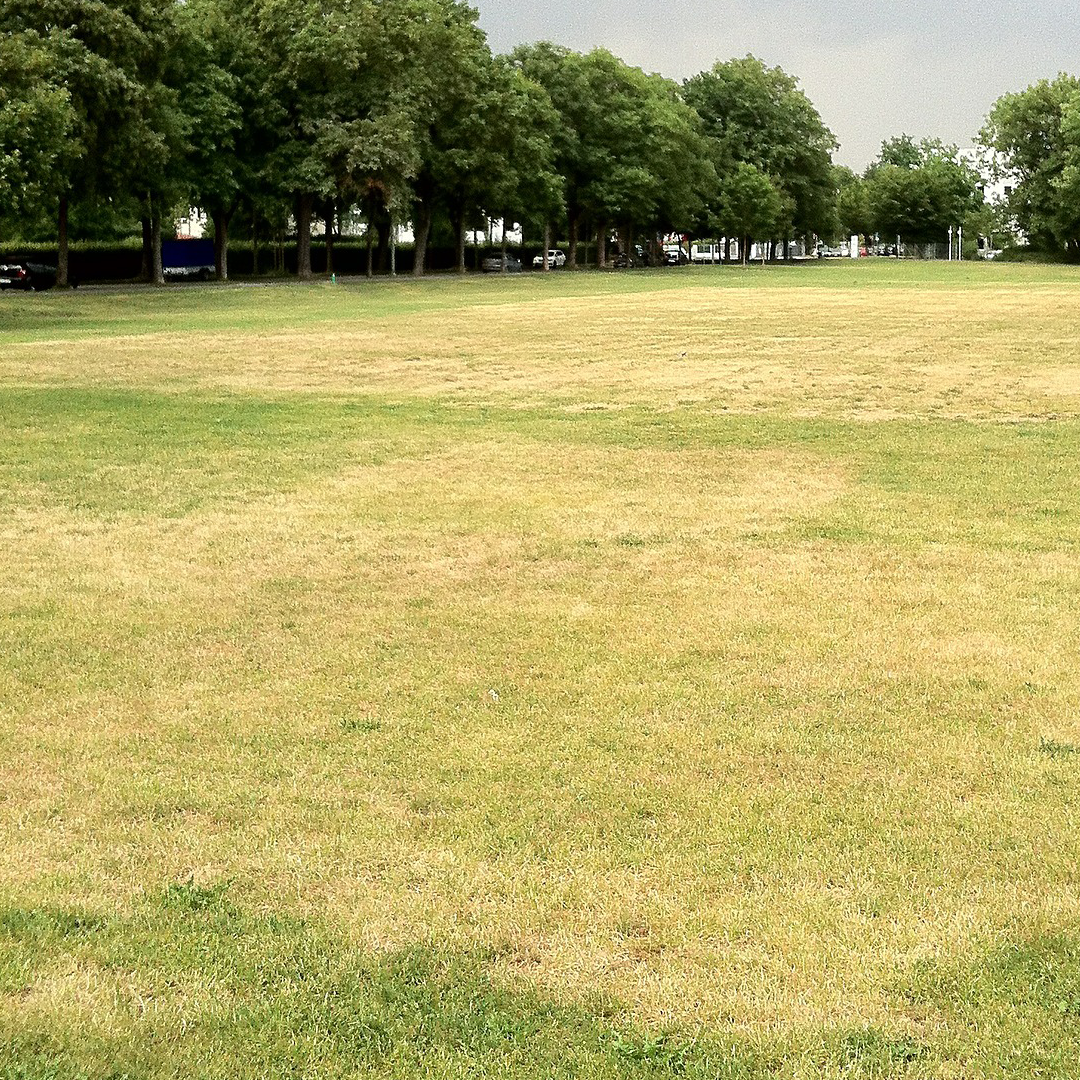 Wetting Agents
